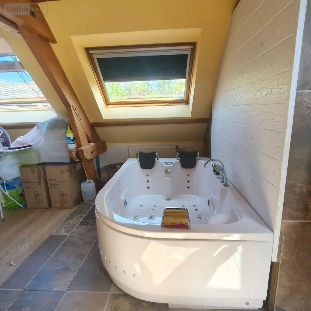 Maison a vendre Mesnil-Saint-Loup 10190 Aube 10 163 m2 5 pièces 239000 euros 1036102/5973 010