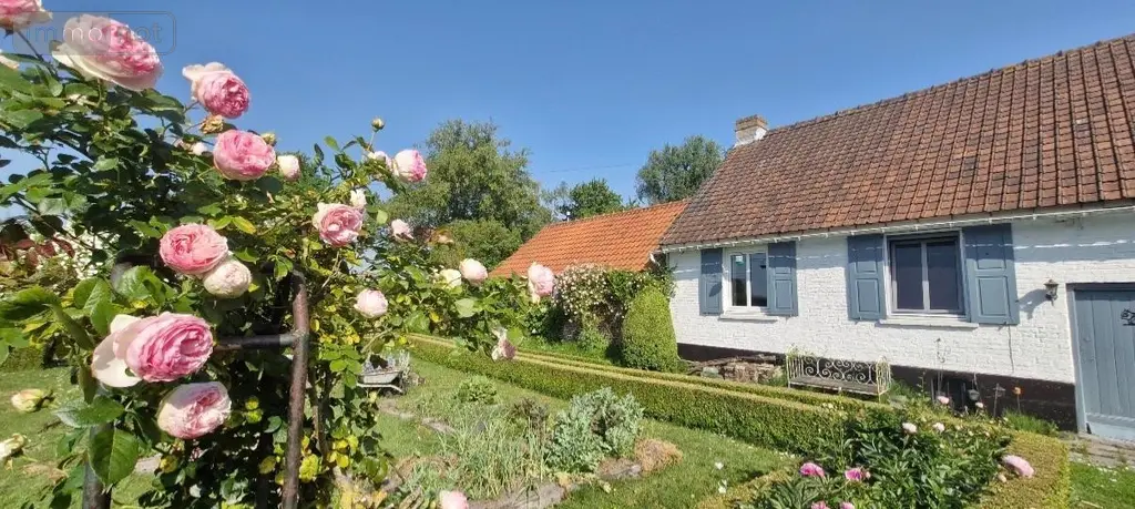 Maison a vendre Hoymille 59492 Nord 59 207 m2 8 pièces 499900 euros H02231 003