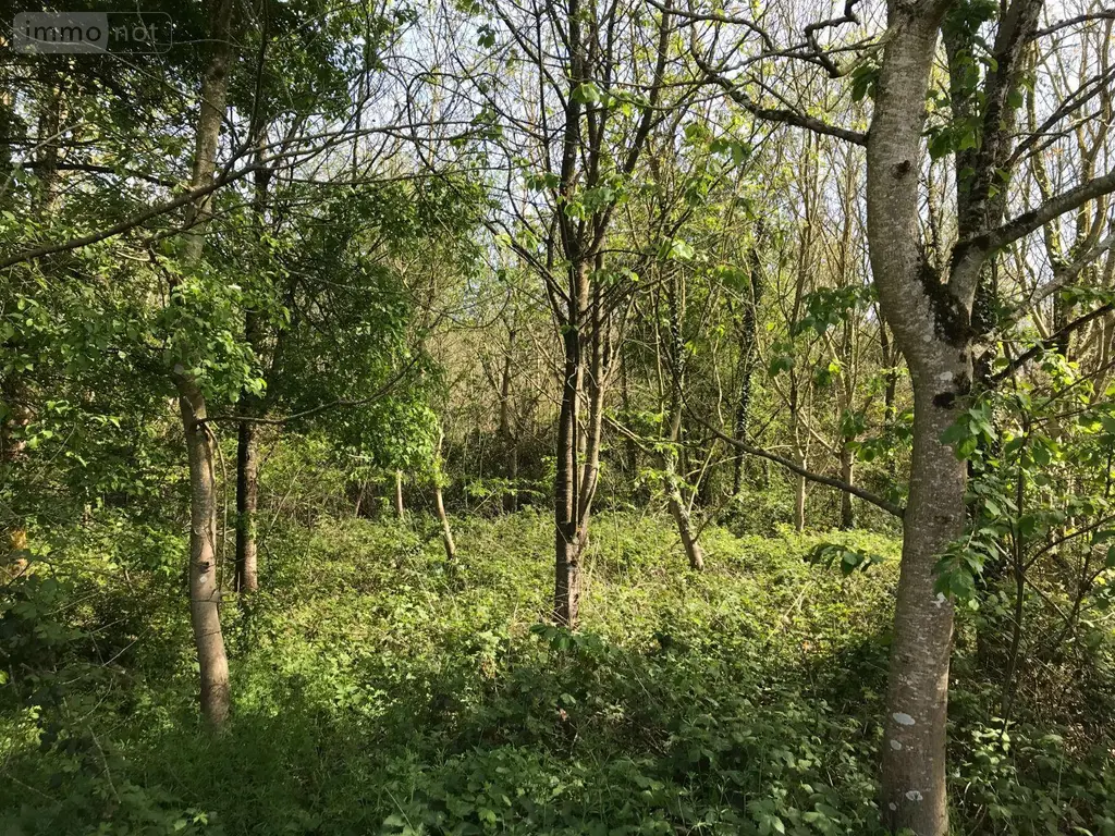 Terrains de loisirs bois etangs a vendre Lombron 72450 Sarthe 72 13200 euros 079/2029 002