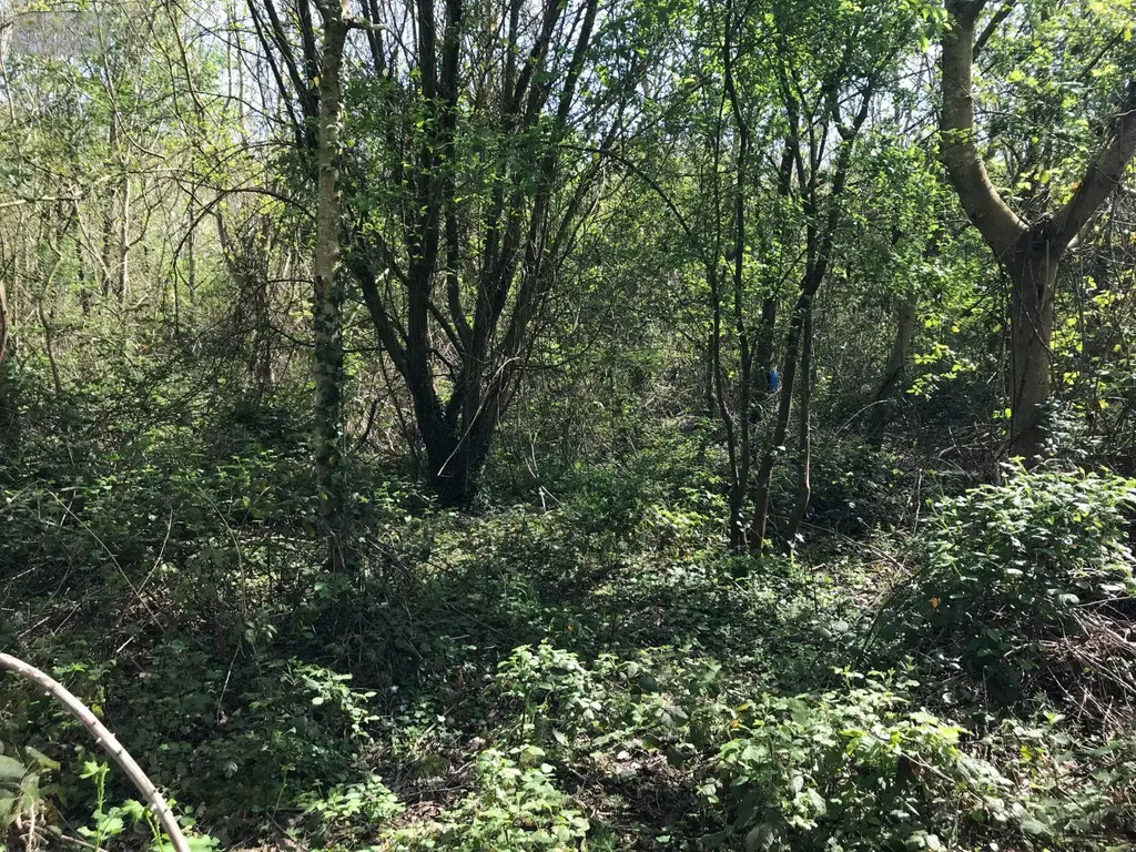 Terrains de loisirs bois etangs a vendre Lombron 72450 Sarthe 72 13200 euros 079/2029 004