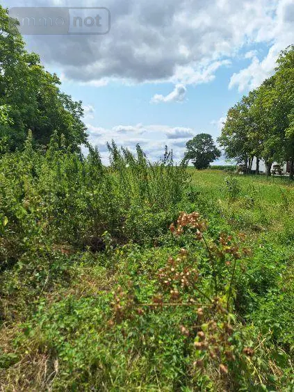 Maison a vendre Échemines 10350 Aube 10 220 m2 48240 euros 10378/1336 002