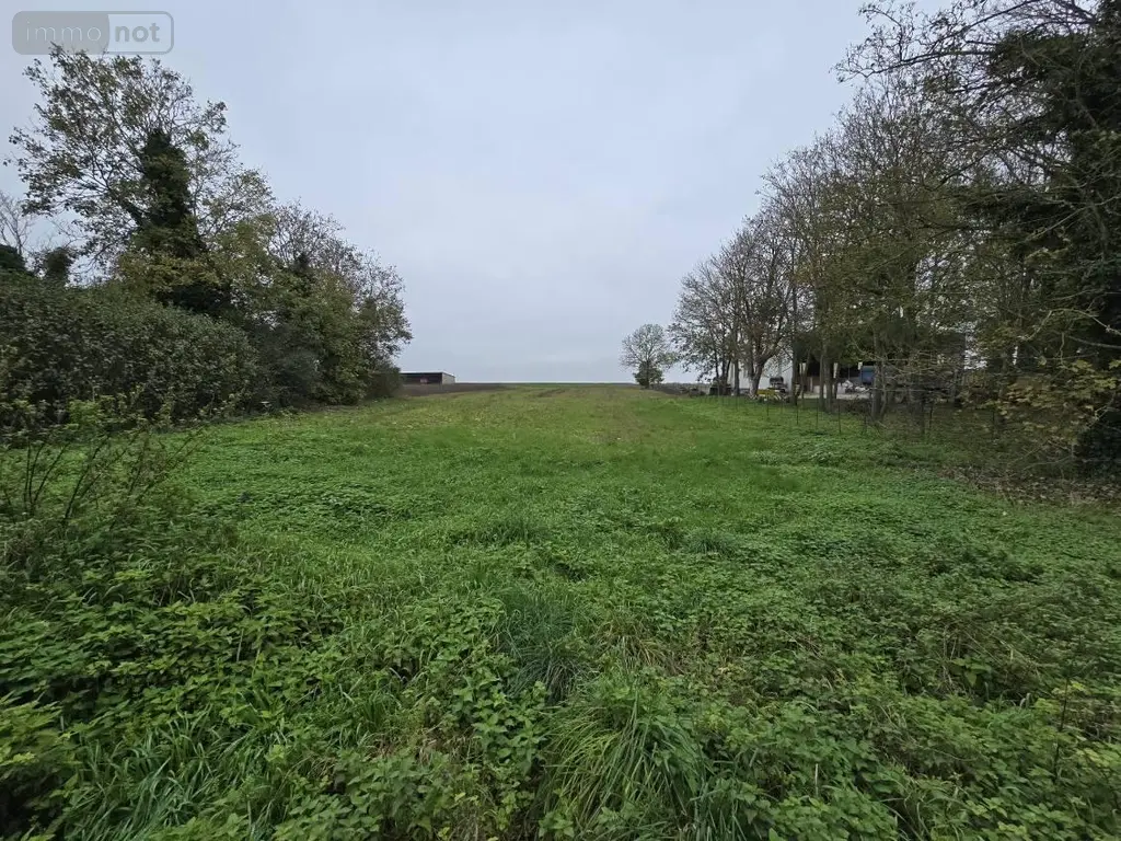 Maison a vendre Échemines 10350 Aube 10 220 m2 48240 euros 10378/1336 004
