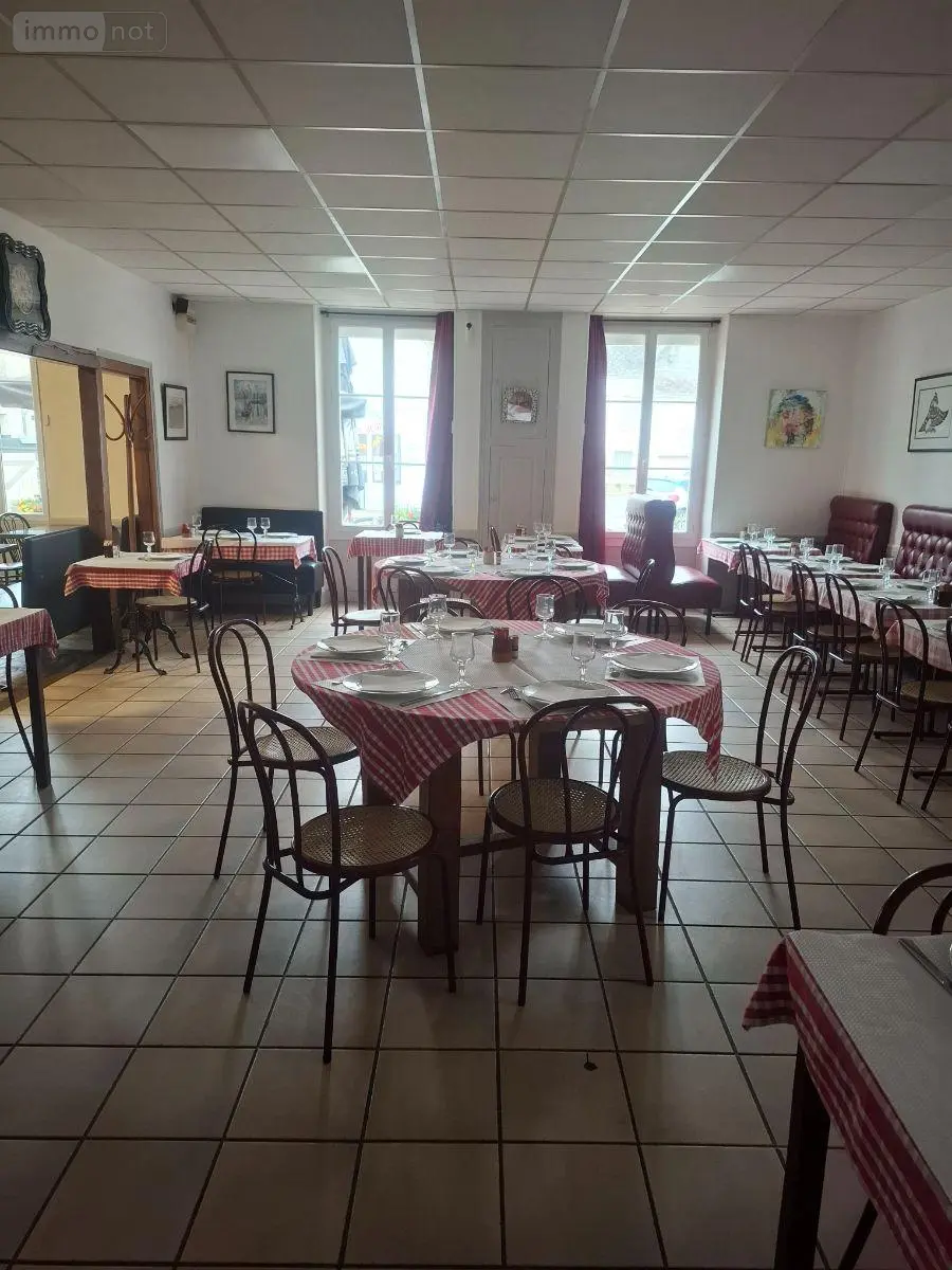 Fonds et murs commerciaux a vendre Henrichemont 18250 Cher 18 145 m2 11 pièces 158250 euros 18016/2193 004