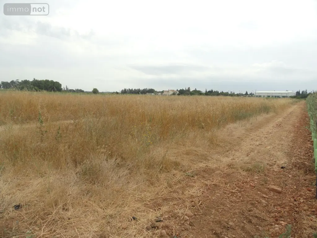Bien agricole a vendre Saint-Gilles 30800 Gard 30 10000 euros 11411/456 001