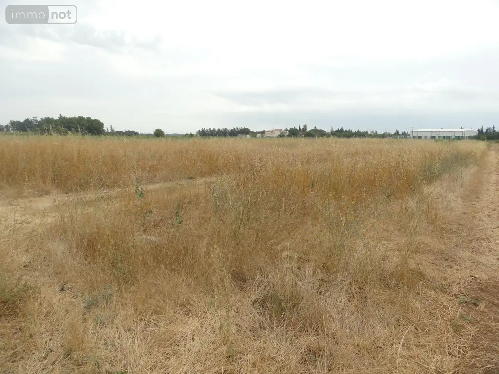 Bien agricole a vendre Saint-Gilles 30800 Gard 30 10000 euros 11411/456 002
