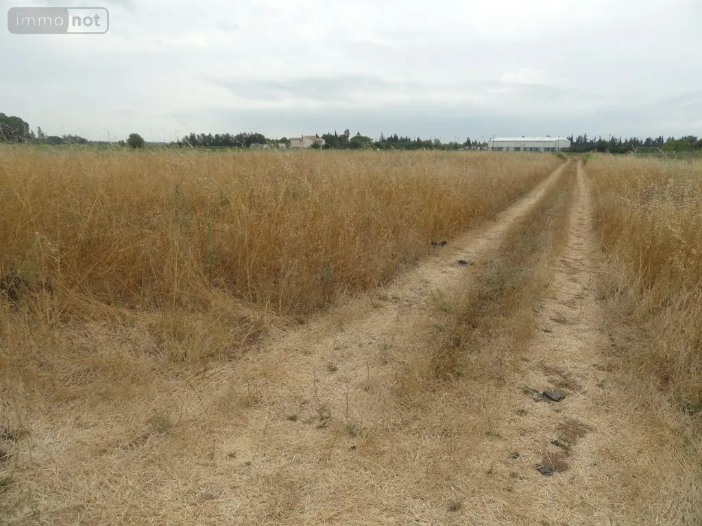 Bien agricole a vendre Saint-Gilles 30800 Gard 30 10000 euros 11411/456 003