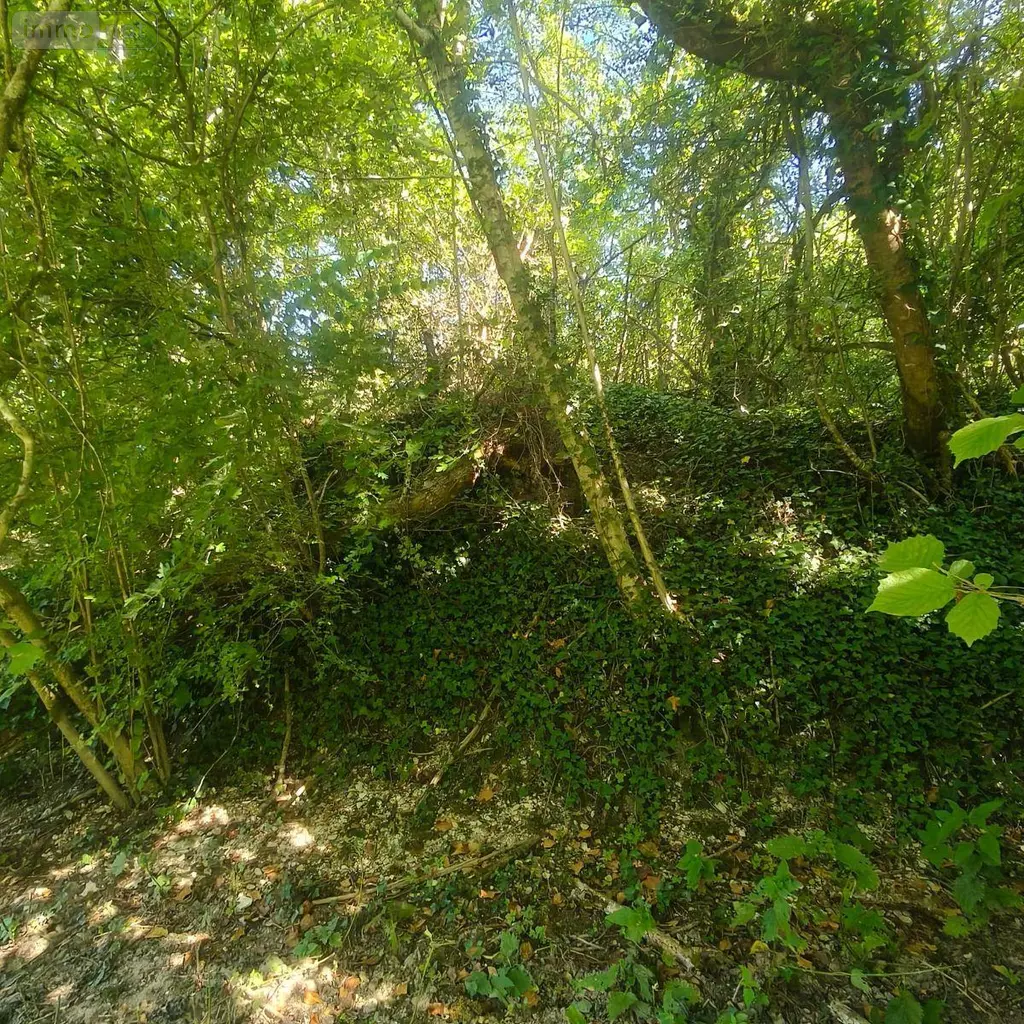 Terrains de loisirs bois etangs a vendre Chappes 10260 Aube 10 23500 euros 1036102/5974 005
