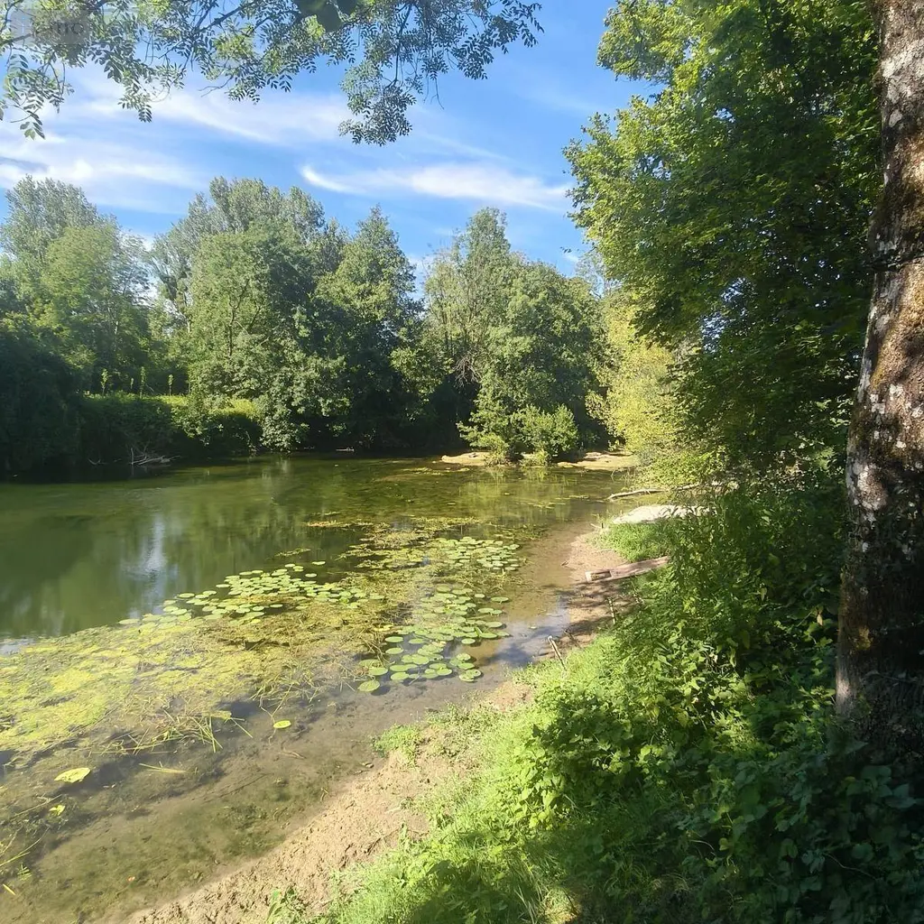Terrains de loisirs bois etangs a vendre Chappes 10260 Aube 10 23500 euros 1036102/5974 001