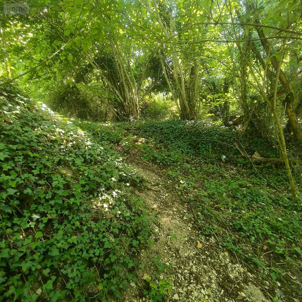 Terrains de loisirs bois etangs a vendre Chappes 10260 Aube 10 23500 euros 1036102/5974 003