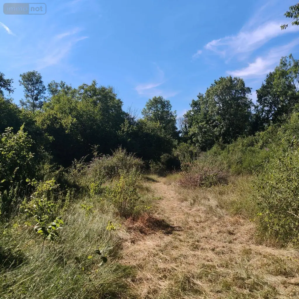 Terrains de loisirs bois etangs a vendre Chappes 10260 Aube 10 23500 euros 1036102/5974 006