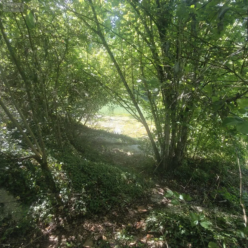Terrains de loisirs bois etangs a vendre Chappes 10260 Aube 10 23500 euros 1036102/5974 007