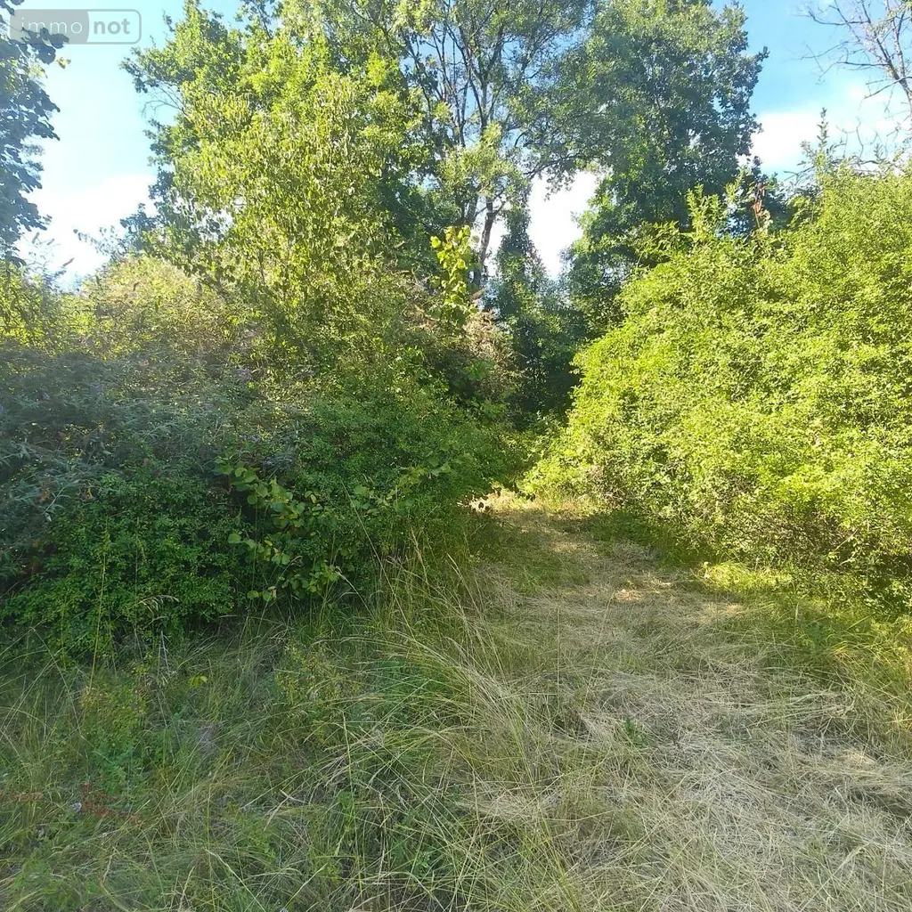 Terrains de loisirs bois etangs a vendre Chappes 10260 Aube 10 23500 euros 1036102/5974 004