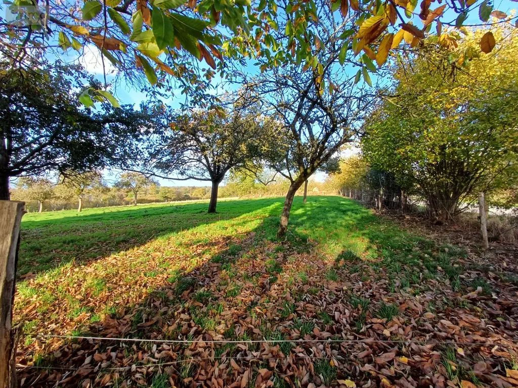 Terrain a batir a vendre Tessy-Bocage 50420 Manche 50 26250 euros 26-33 010