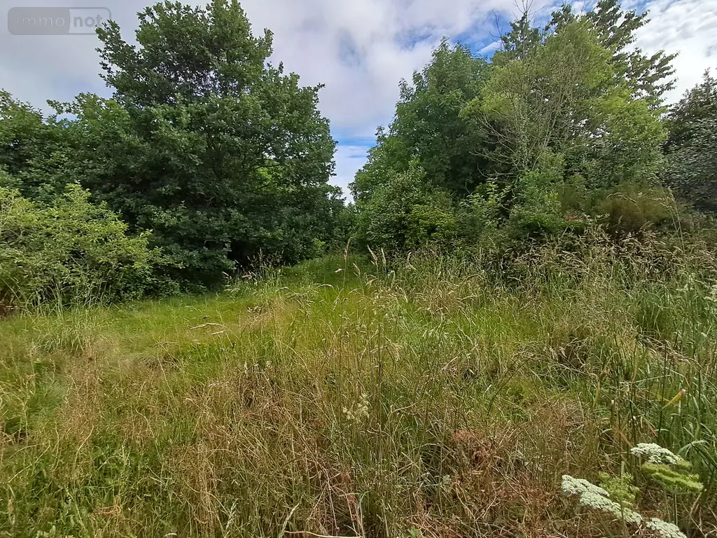 Maison a vendre Poullaouen 29246 Finistère 29 118 m2 5 pièces 63480 euros 196 009