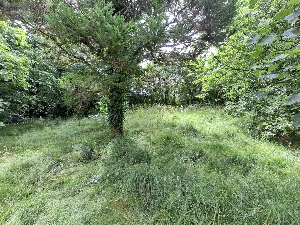 Maison a vendre Poullaouen 29246 Finistère 29 118 m2 5 pièces 63480 euros 196 010