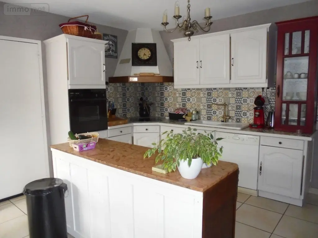 Maison a vendre Beaugency 45190 Loiret 45 145 m2 5 pièces 272500 euros 091/1526 013