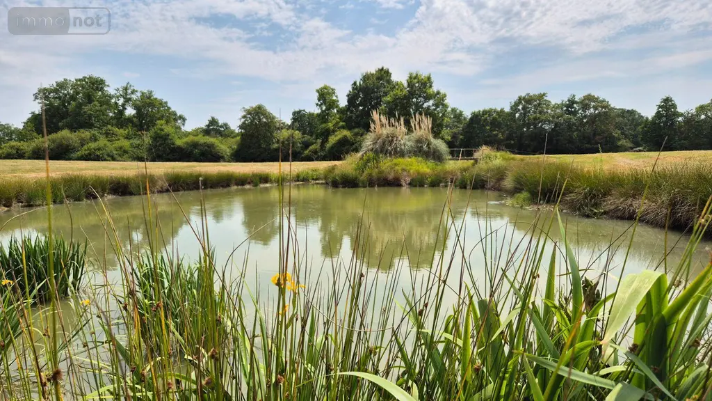 Maison a vendre Rouperroux-le-Coquet 72110 Sarthe 72 118 m2 4 pièces 252000 euros 13808/716 014