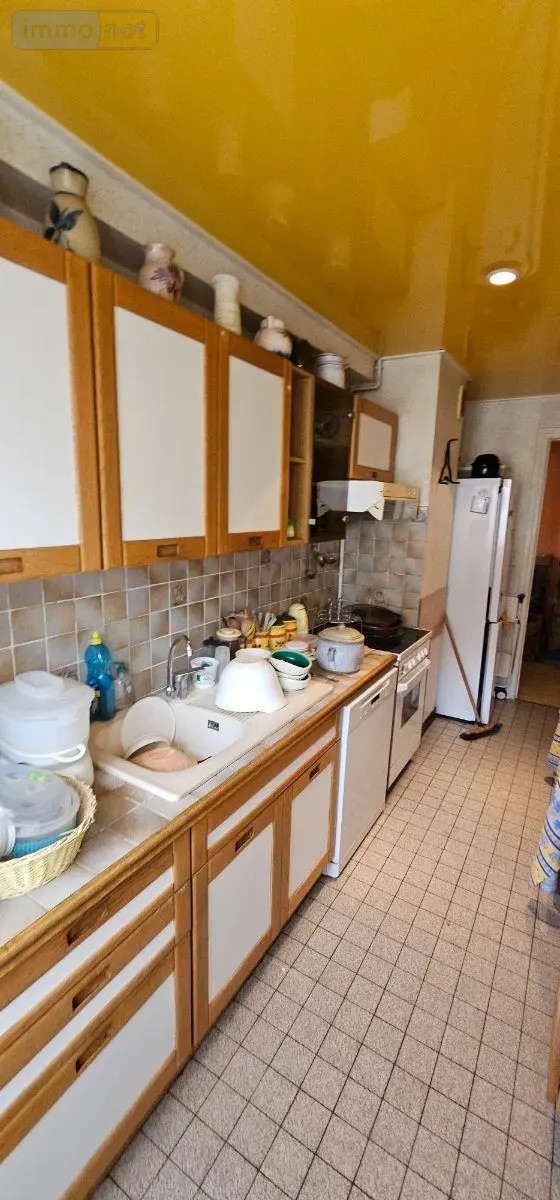 Appartement a vendre La Madeleine 59110 Nord 59 112 m2 5 pièces 332000 euros S5453 004
