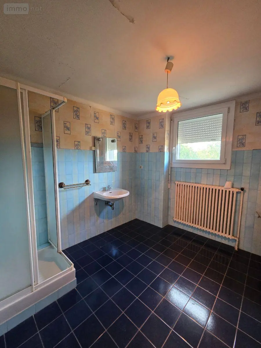 Maison a vendre Saint-Vincent-sur-Oust 56350 Morbihan 56 131 m2 5 pièces 242000 euros 143/280M 010