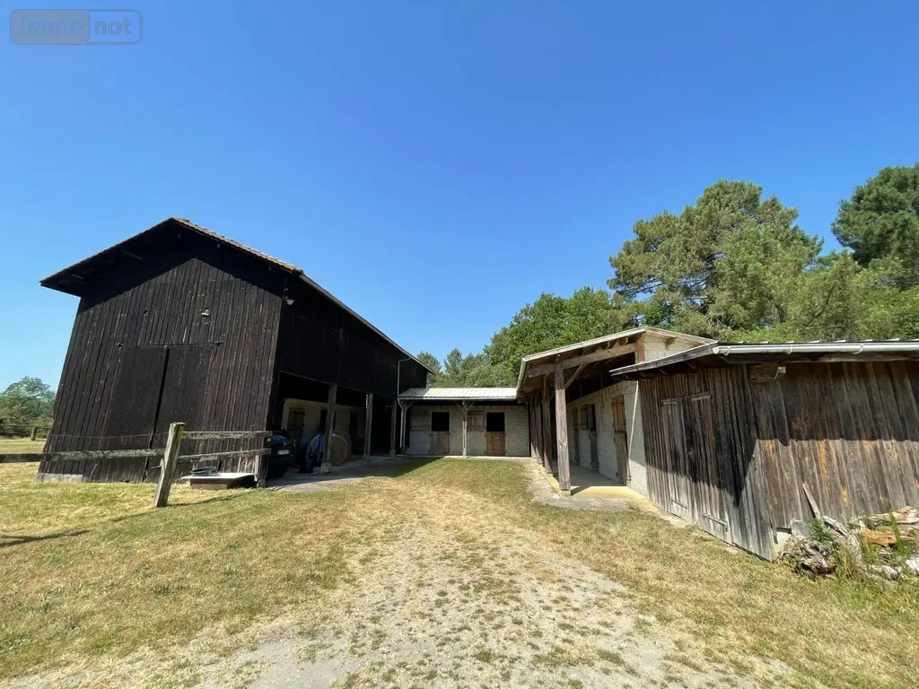 Maison a vendre Bazas 33430 Gironde 33 207 m2 7 pièces 490000 euros 33062-37 019