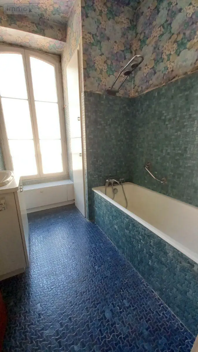 Maison a vendre Vic-sur-Cère 15800 Cantal 15 250 m2 12 pièces 168700 euros MG/2562 010