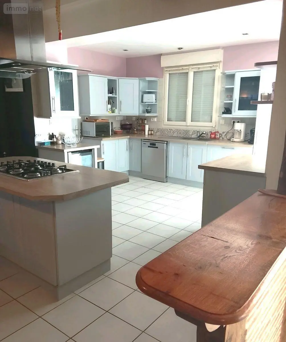 Maison a vendre La Flèche 72200 Sarthe 72 225 m2 9 pièces 230560 euros 500 006