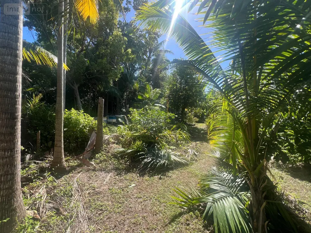 Terrain a batir a vendre Saint-Benoît 97437 La Réunion 974 193000 euros 97404/31 002