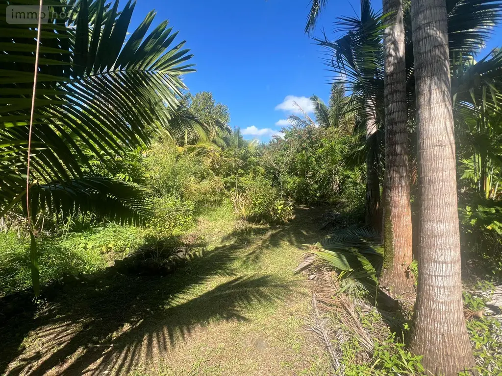 Terrain a batir a vendre Saint-Benoît 97437 La Réunion 974 162000 euros 97404/32 002