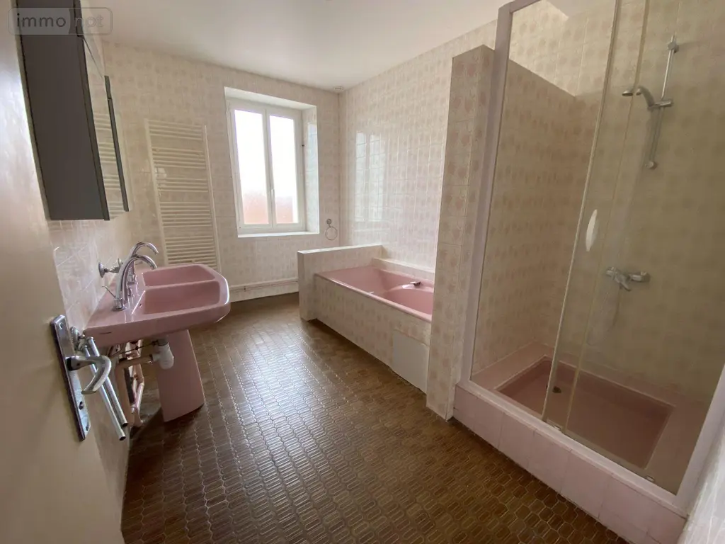 Maison a vendre Châtillon-sur-Indre 36700 Indre 36 130 m2 4 pièces 117000 euros 1052642 009