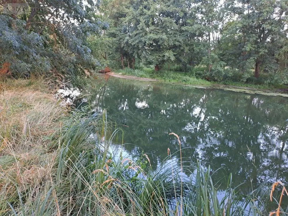 Terrains de loisirs bois etangs a vendre Le Tranger 36700 Indre 36 21400 euros 1052709 003