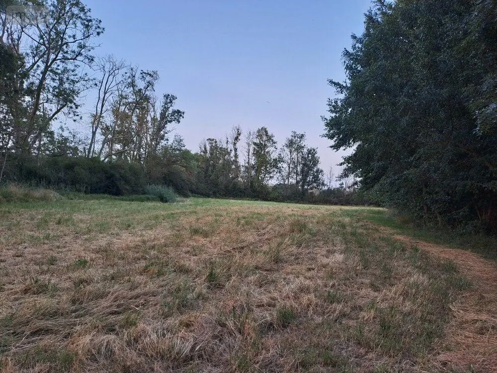 Terrains de loisirs bois etangs a vendre Le Tranger 36700 Indre 36 21400 euros 1052709 004