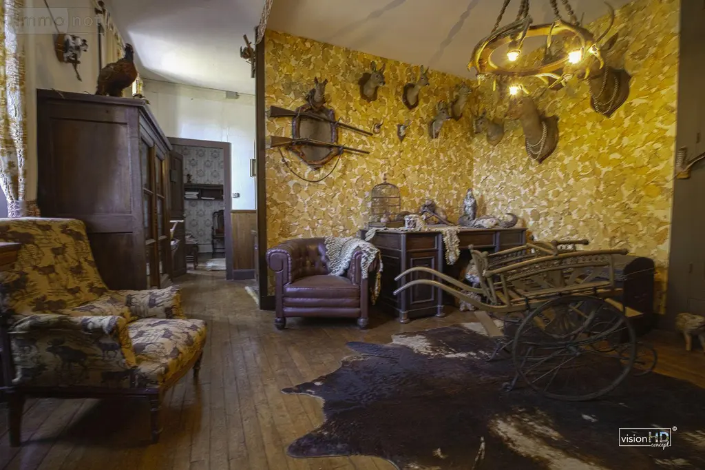 Propriete a vendre Raulhac 15800 Cantal 15 500 m2 16 pièces 860000 euros 15061-79 013