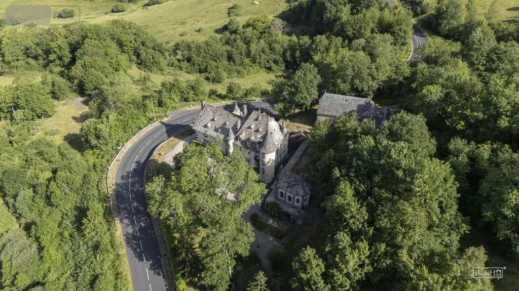 Propriete a vendre Raulhac 15800 Cantal 15 500 m2 16 pièces 860000 euros 15061-79 024