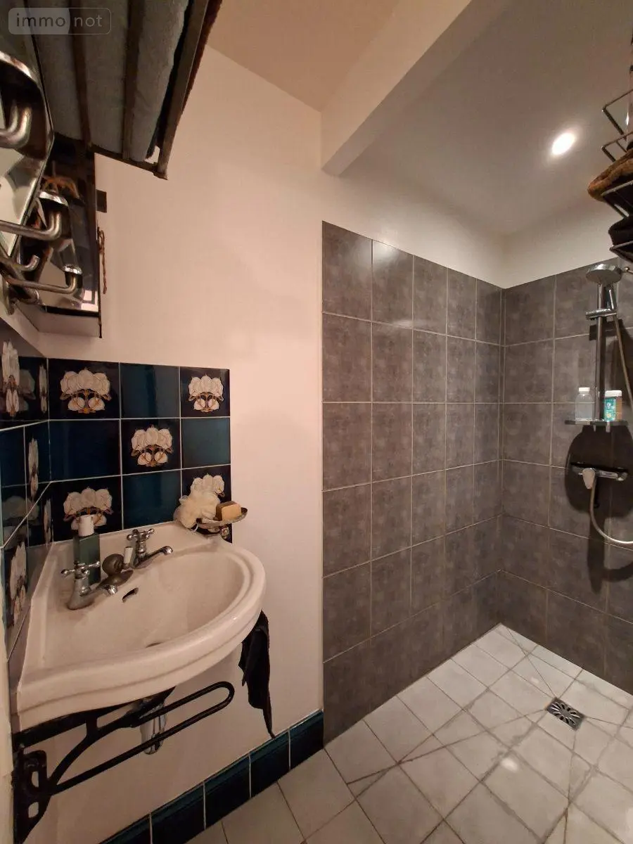 Maison a vendre Saint-Amand-Montrond 18200 Cher 18 220 m2 11 pièces 332750 euros 260114 012