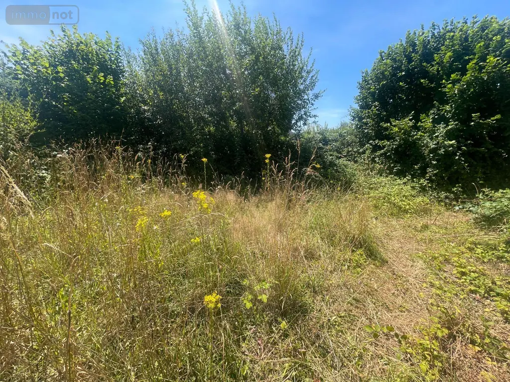 Maison a vendre Ambrières-les-Vallées 53300 Mayenne 53 75 m2 3 pièces 42400 euros 604 008