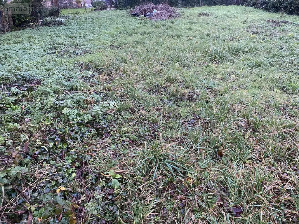 Terrain a batir a vendre Estrées-lès-Crécy 80150 Somme 80 100 m2 32500 euros 113/1446 004
