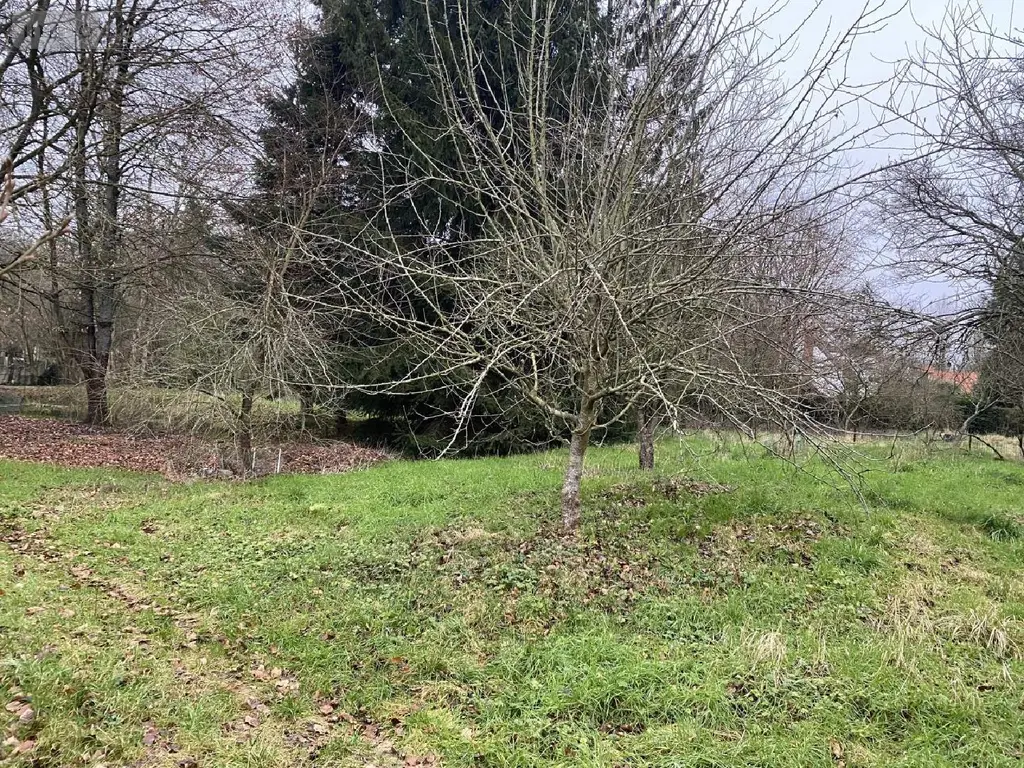 Terrain a batir a vendre Dompierre-sur-Authie 80150 Somme 80 800 m2 27500 euros 113/1513 006