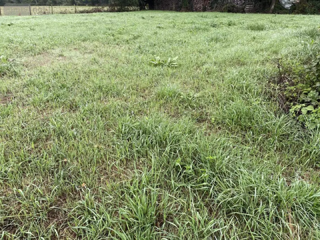 Terrain a batir a vendre Ponthoile 80860 Somme 80 800 m2 44500 euros 113/1558 002