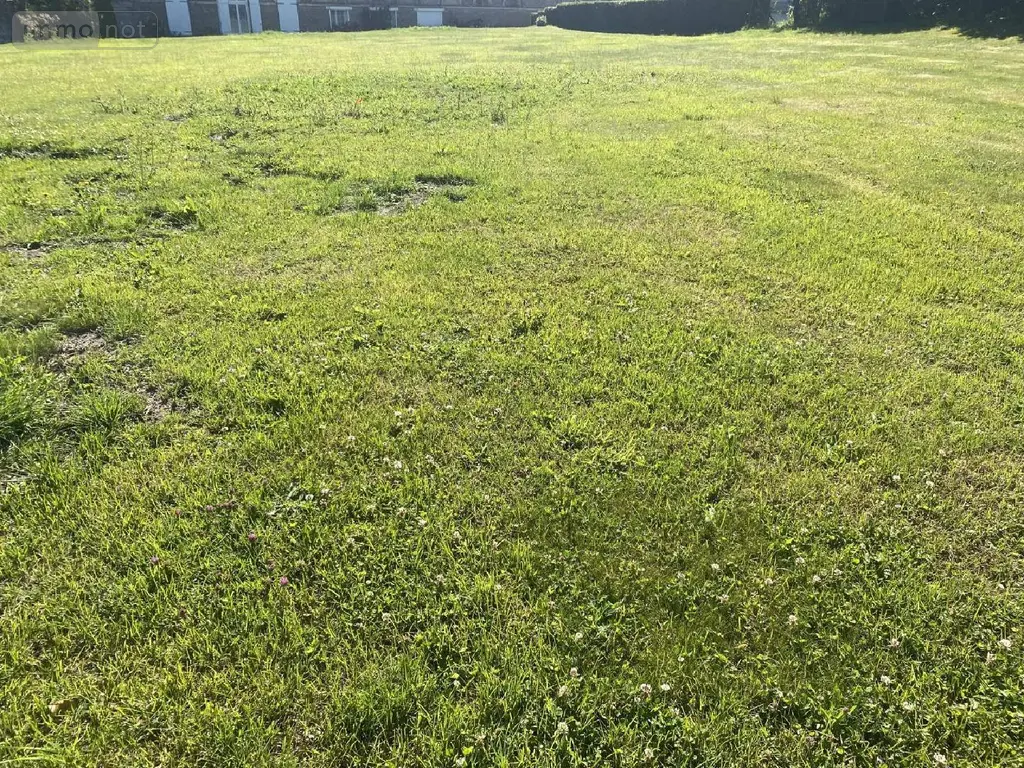 Terrain a batir a vendre Domvast 80150 Somme 80 699 m2 32500 euros 113/1570 005