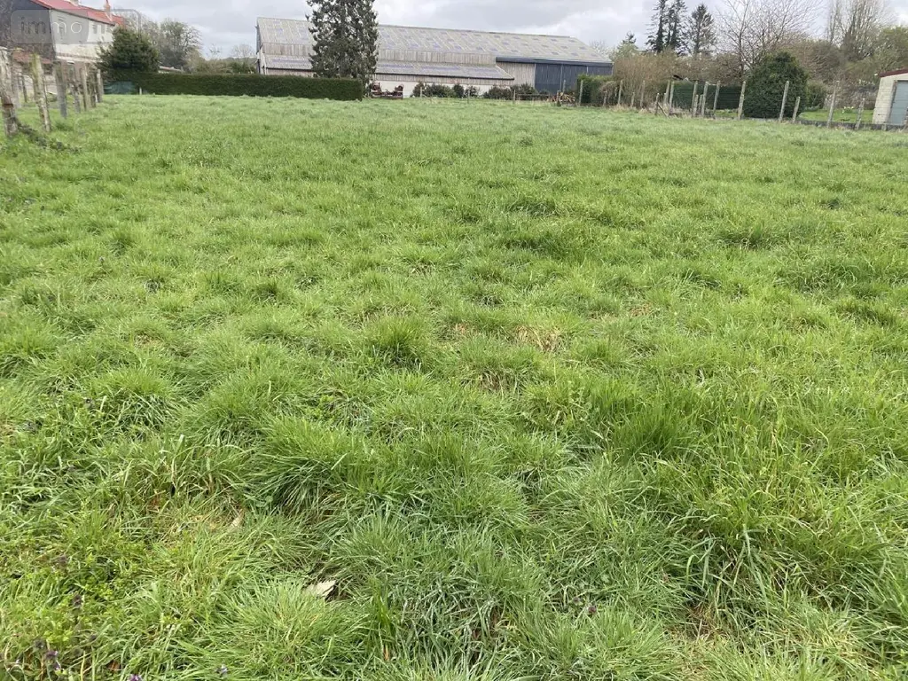 Terrain a batir a vendre Domvast 80150 Somme 80 959 m2 47500 euros 113/1601 002
