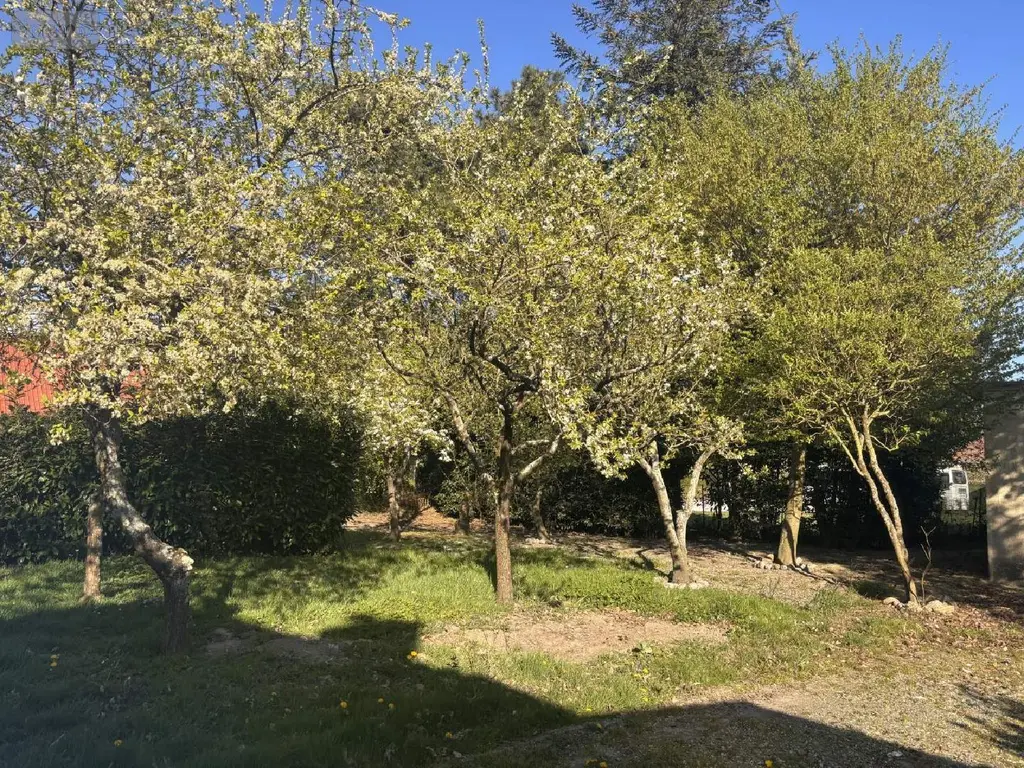 Terrain a batir a vendre Vironchaux 80150 Somme 80 710 m2 37500 euros 113/1712 004