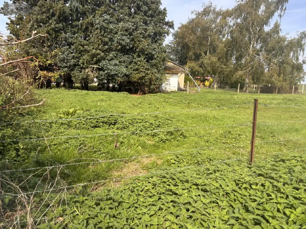 Terrain a batir a vendre Dominois 80120 Somme 80 100 m2 49500 euros 113/1743 003
