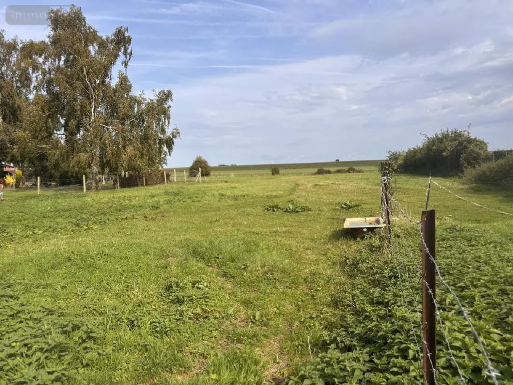 Terrain a batir a vendre Dominois 80120 Somme 80 100 m2 49500 euros 113/1743 004