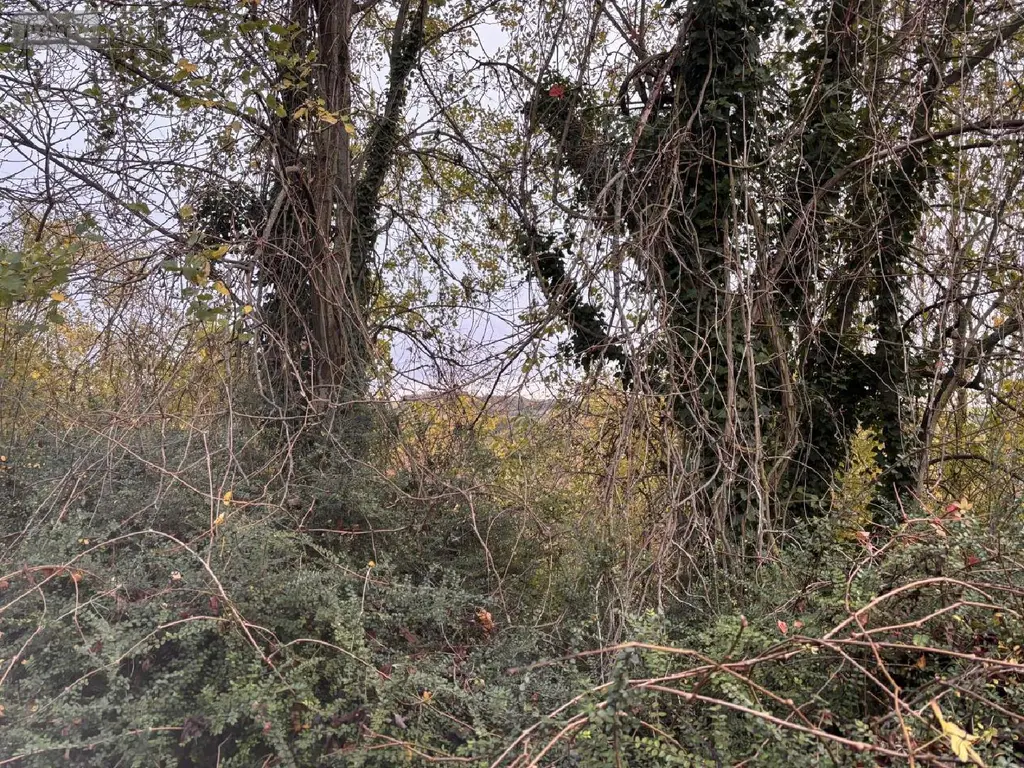 Terrain a batir a vendre Auxi-le-Château 62390 Pas-de-Calais 62 23500 euros 113/1750 003