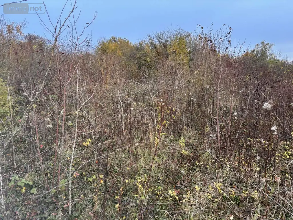 Terrain a batir a vendre Auxi-le-Château 62390 Pas-de-Calais 62 23500 euros 113/1750 005