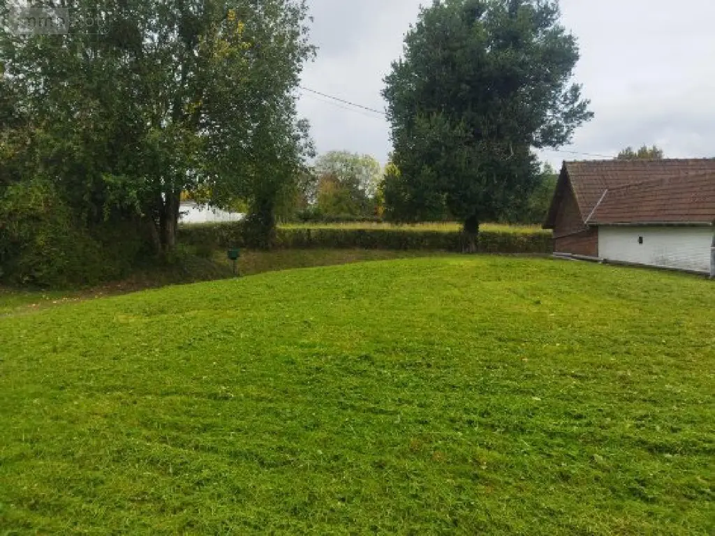 Propriete a vendre Regnauville 62140 Pas-de-Calais 62 95 m2 5 pièces 261440 euros 113/1756 010
