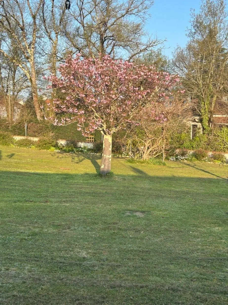 Maison a vendre Ribérac 24600 Dordogne 24 128 m2 5 pièces 291500 euros 077/1743 019