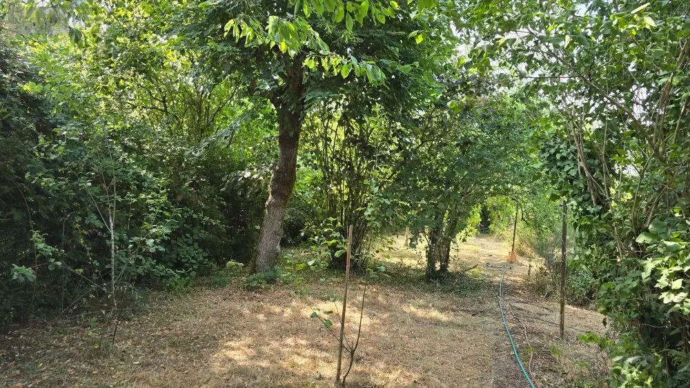Maison a vendre Lezay 79120 Deux-Sèvres 79 162 m2 7 pièces 126700 euros 13547 016