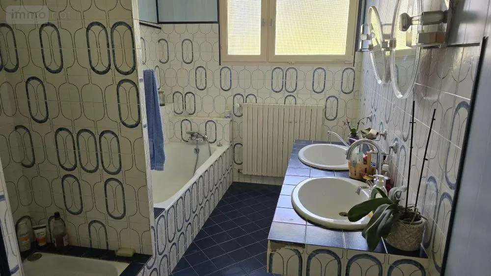 Maison a vendre Lezay 79120 Deux-Sèvres 79 162 m2 7 pièces 126700 euros 13547 010
