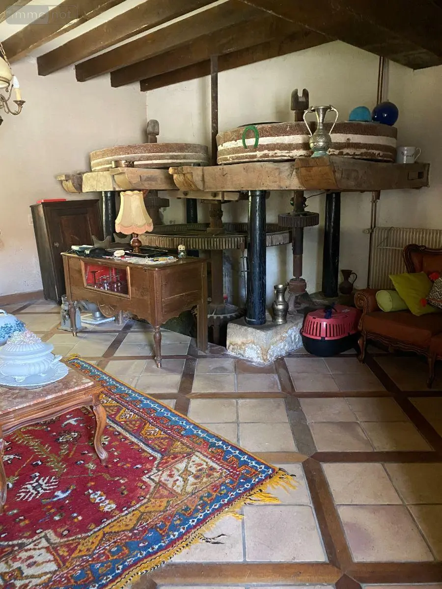 Maison a vendre Châtillon-sur-Indre 36700 Indre 36 190 m2 6 pièces 335000 euros 1052735 006